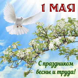 Ne2ulBetsz0