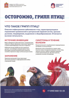 _2022-10-04_111726718