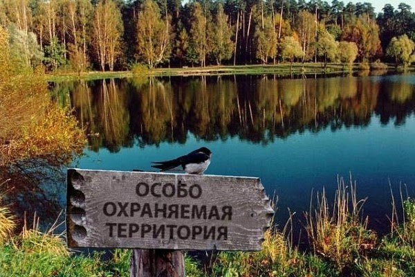 Голосуй на «Доброделе»